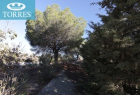 Villa de Otura 608&nbsp;m²