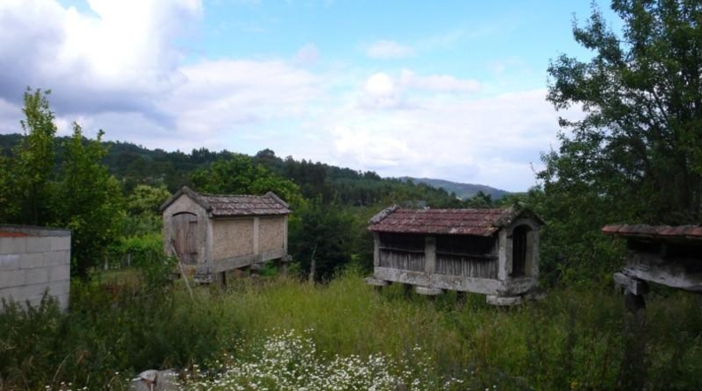 Pontevedra - Crecente - 3515m2