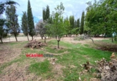 Casa de pueblo en venta en la España, Fuente Obejuna, ref: TR299913 foto