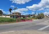 Parcel·la urbanitzable en venda a la España, Alcolea, ref.: TR119335 foto