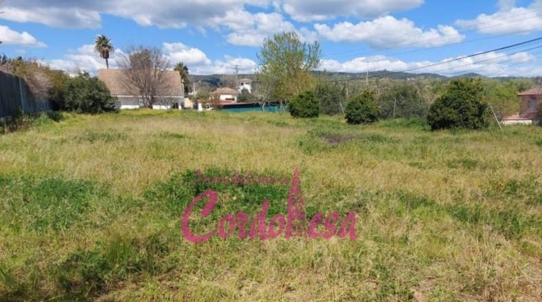 Córdoba - Córdoba - 1500m2