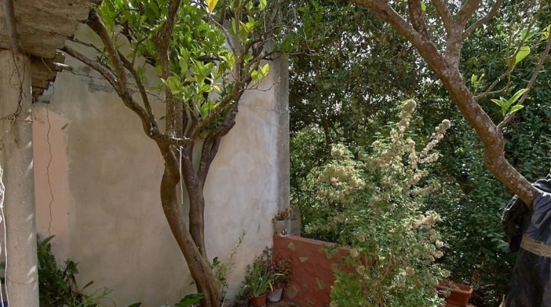 Las Palmas - Vega de San Mateo - 14204m2