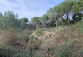 Parcel·la urbanitzable en venda a la España, Còrdova, ref.: TR120378 foto