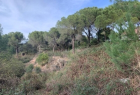 Còrdova 1943&nbsp;m² 