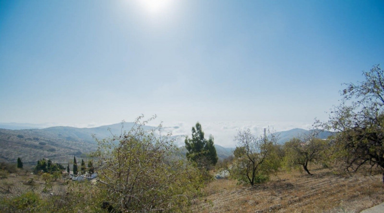 Granada - Sorvilán - 13083m2