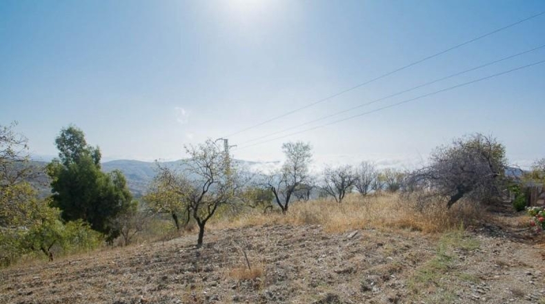 Granada - Sorvilán - 13083m2