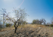 Terreno no urbanizable en venta en la España, Sorvilán, ref: TR117486 foto