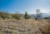 Terreno no urbanizable en venta en la España, Sorvilán, ref: TR117486 foto