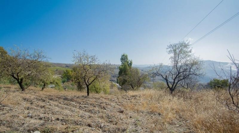 Granada - Sorvilán - 13083m2
