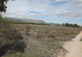Terreno no urbanizable en venta en la España, Almansa, ref: TR116013 foto