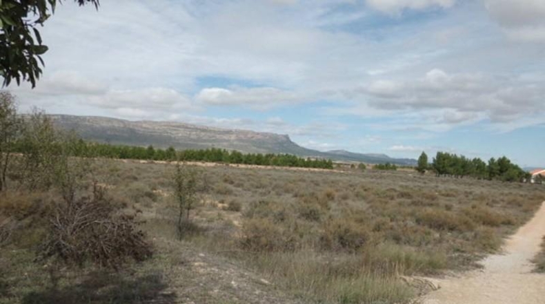 Albacete - Almansa - 14m2