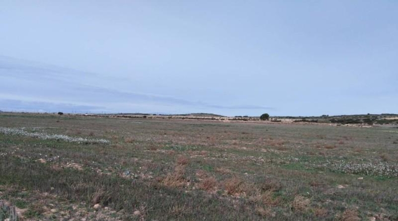 Albacete - Almansa - 40000m2