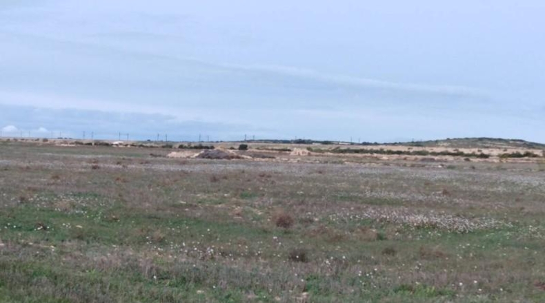 Albacete - Almansa - 40000m2