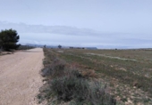 Parcela urbanizable en venta en la España, Almansa, ref: TR116016 foto