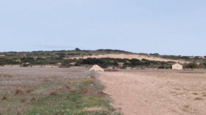 Albacete - Almansa - 40000m2