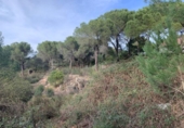 Parcela urbanizable en venta en la España, Córdoba, ref: TR254936 foto