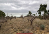 Suelo urbano en venta en la España, Náquera, ref: TR121872 foto