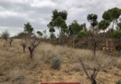 Suelo urbano en venta en la España, Náquera, ref: TR121872 foto