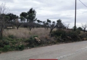 Suelo urbano en venta en la España, Náquera, ref: TR121872 foto