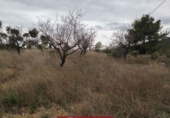 Suelo urbano en venta en la España, Náquera, ref: TR121872 foto