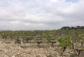 Foto 7