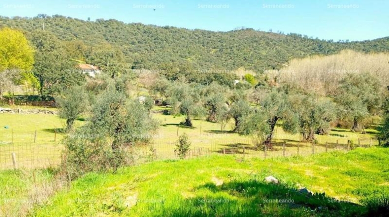 Huelva - Beas - 635m2