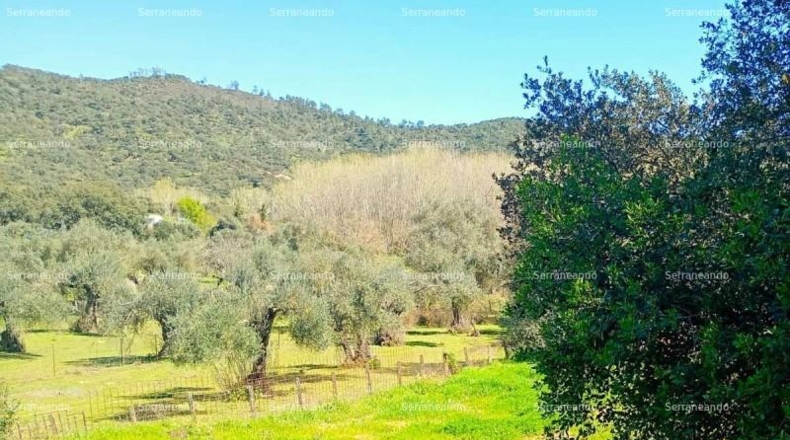 Huelva - Beas - 635m2