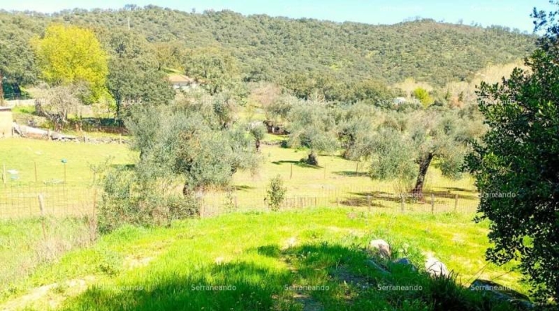 Huelva - Beas - 635m2