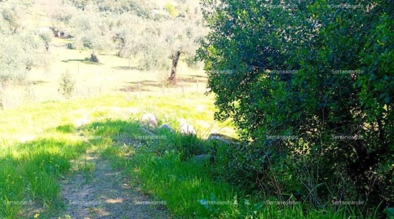 Huelva - Beas - 635m2