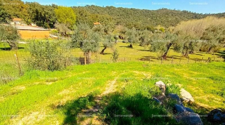 Huelva - Beas - 635m2