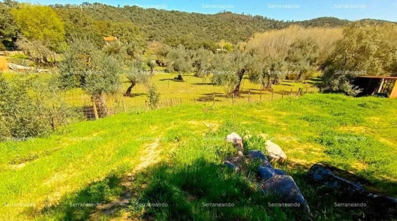 Huelva - Beas - 635m2