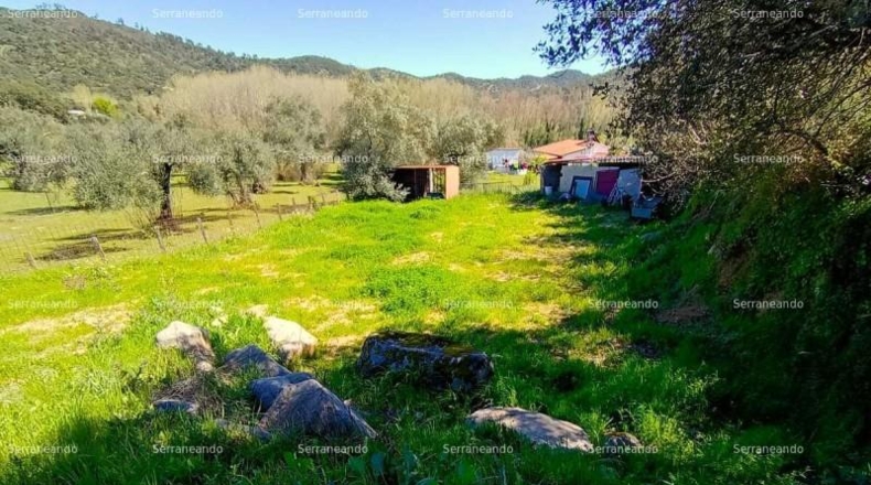 Huelva - Beas - 635m2
