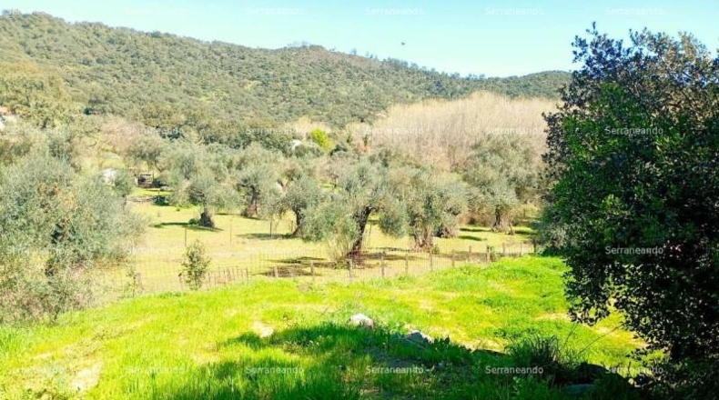 Huelva - Beas - 635m2