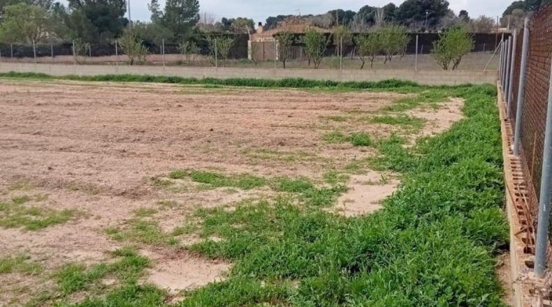 Albacete - Albacete - 1600m2