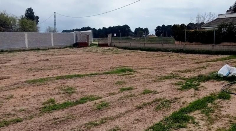 Albacete - Albacete - 1600m2