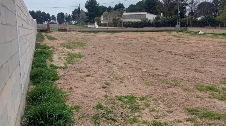 Albacete - Albacete - 1600m2