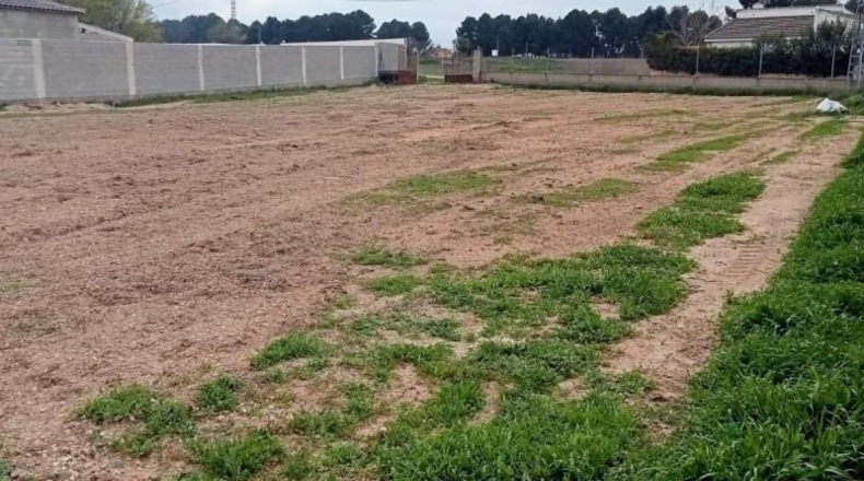 Albacete - Albacete - 1600m2