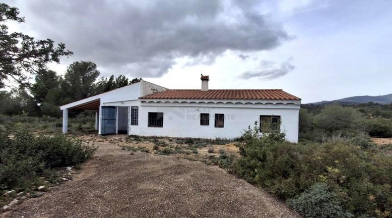 Castellón - Benlloch - 3727m2