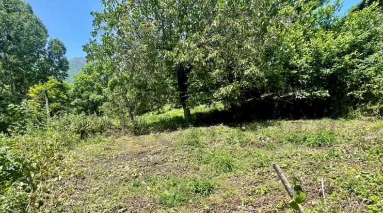 Lerida - Bausén - 156m2