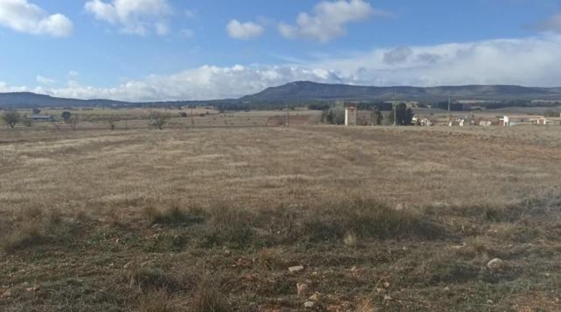 Alicante - Dolores - 60000m2