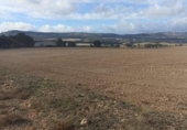 Parcela urbanizable en venta en la España, Ayora, ref: TR334378 foto