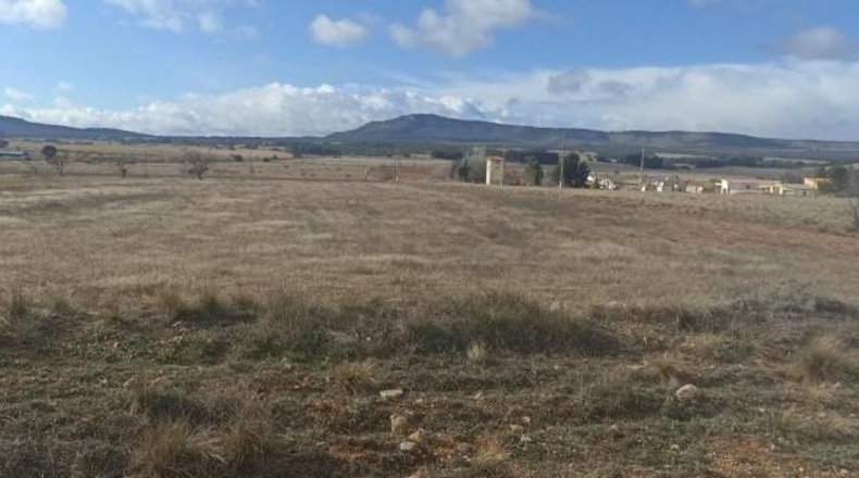 Alicante - Dolores - 60000m2