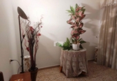 Casa de camp amb terreny en venda a la España, Montijo, ref.: TR314098 foto