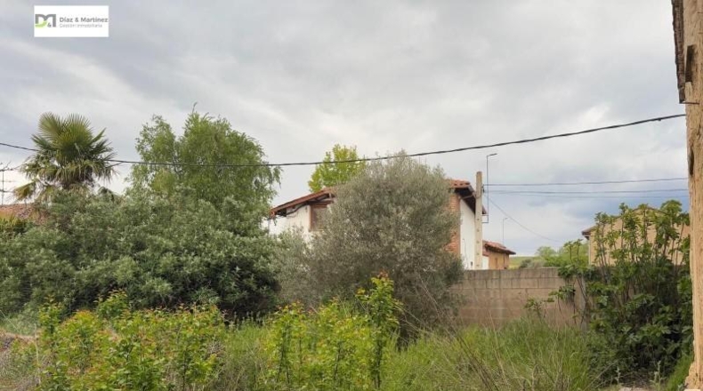 León - Villaturiel - 790m2