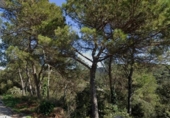 Sòl urbà en venda a la España, Vacarisses, ref.: TR288952 foto