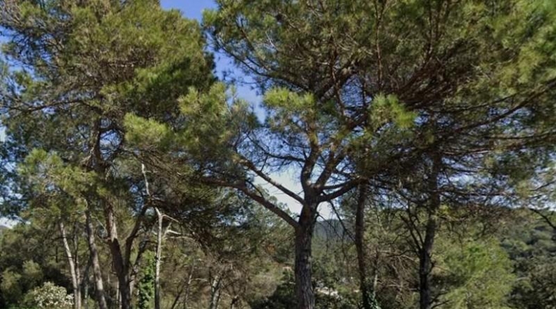 Barcelona - Vacarisses - 1015m2
