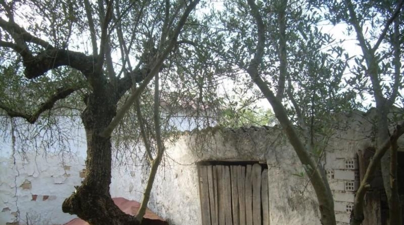 Granada - Montefrío - 4967m2