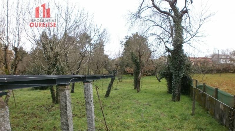 Orense - Amoeiro - 2200m2