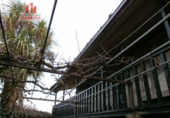 Finca rústica en venta en la España, Amoeiro, ref: TR304682 foto