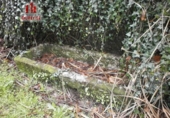 Finca rústica en venta en la España, Amoeiro, ref: TR304682 foto